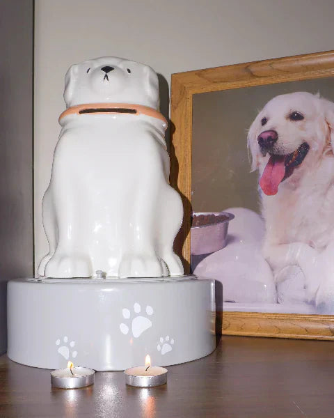 Hold a Small Memorial Ceremony for Your Pet
