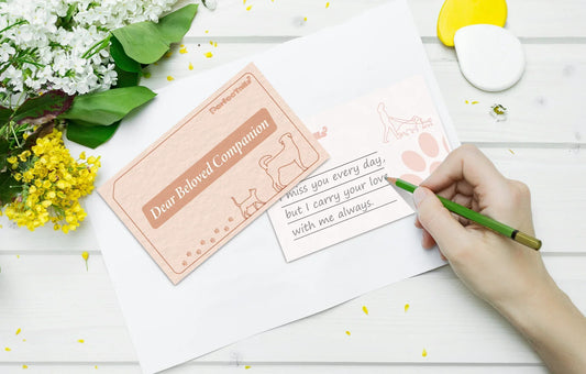 writing letters to your pet for emotional healing