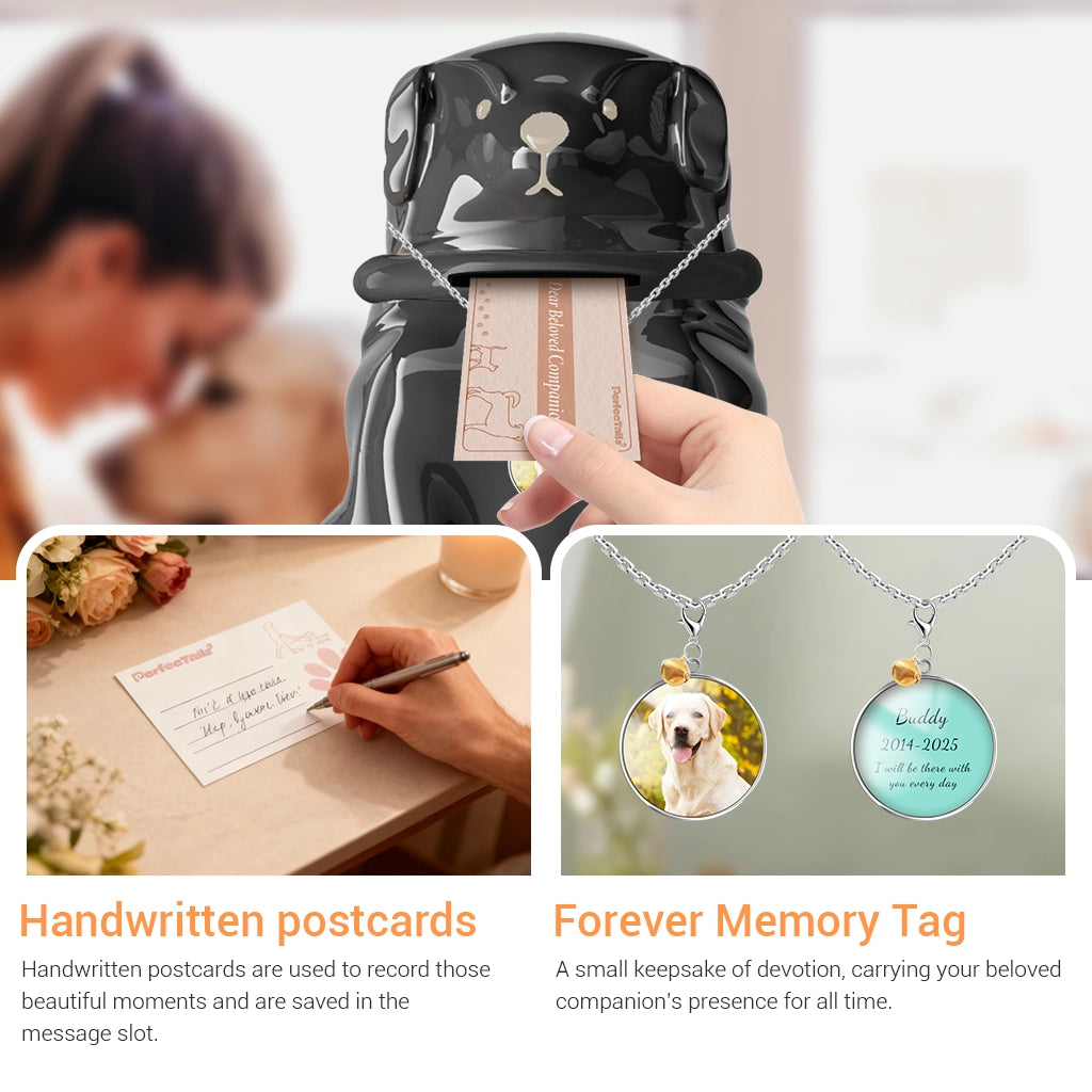 Pet urns | Contact pets by mail | Gift a personalized necklace