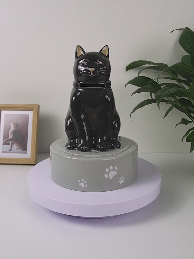 black cat urn video