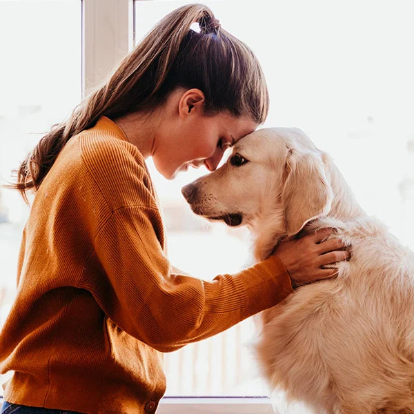 In Home Pet Euthanasia: A Peaceful Goodbye for Your Pet