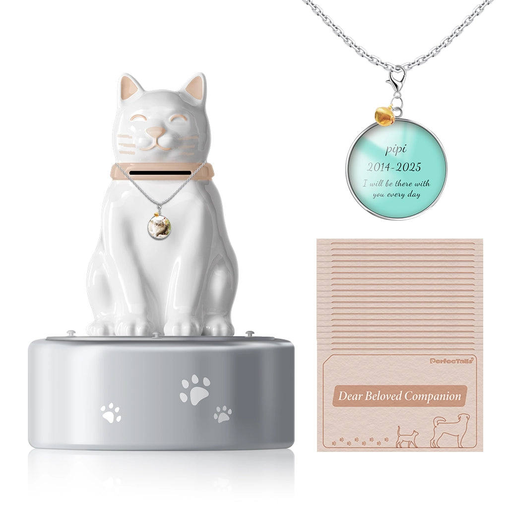 The Heart's Mailbox Pet Urn | Keep Your Connection Alive with Letters.