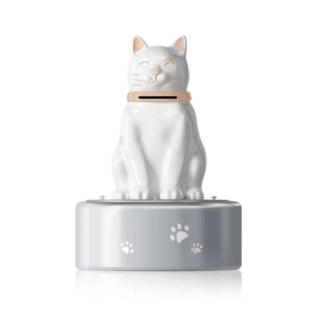 Memorial Keepsake Large Capacity Pet Urn for Ashes