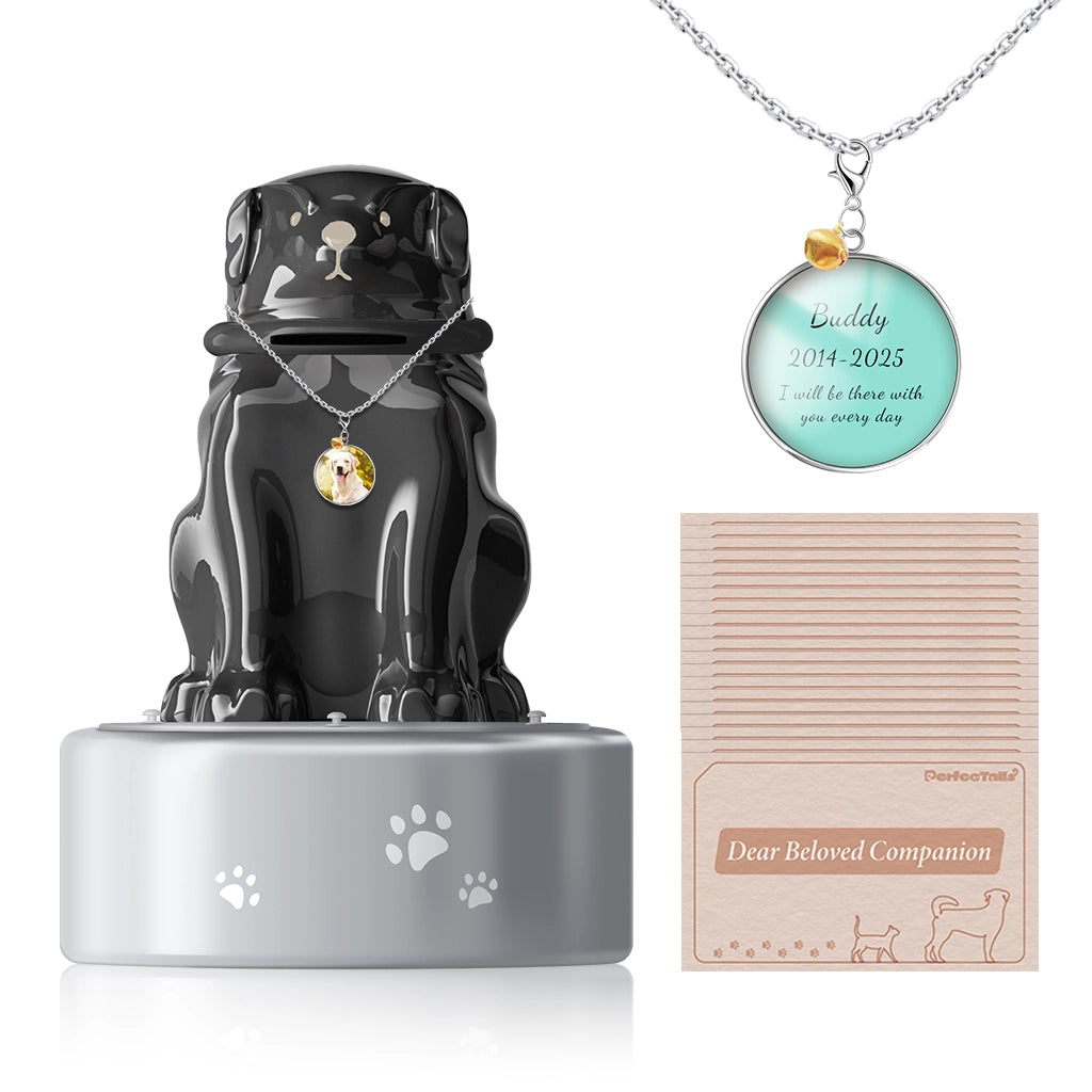 The Heart's Mailbox Pet Urn | Keep Your Connection Alive with Letters.