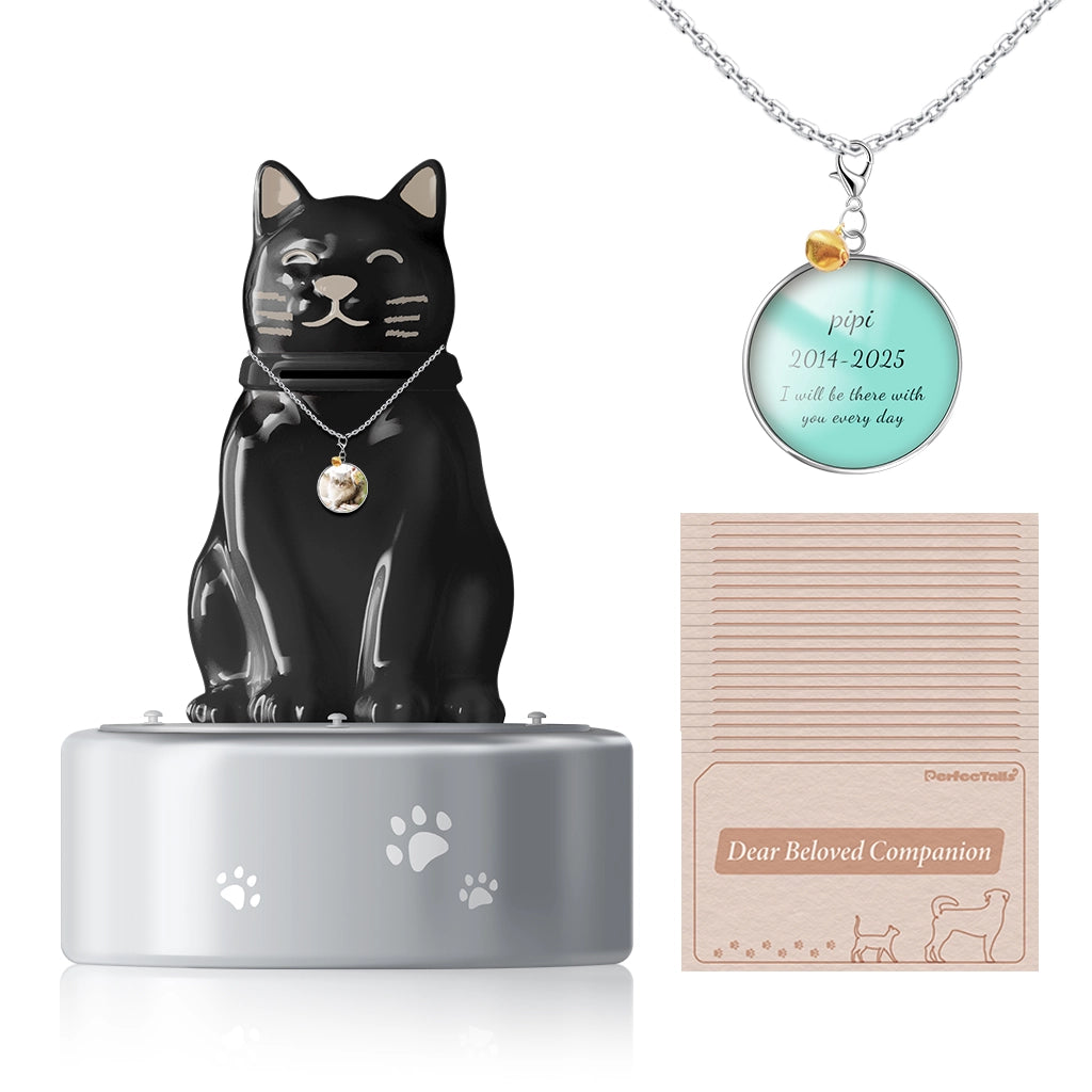 The Heart's Mailbox Pet Urn | Keep Your Connection Alive with Letters.