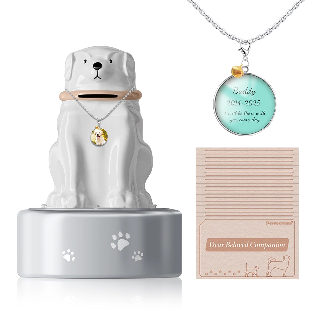 The Heart's Mailbox Pet Urn | Keep Your Connection Alive with Letters.