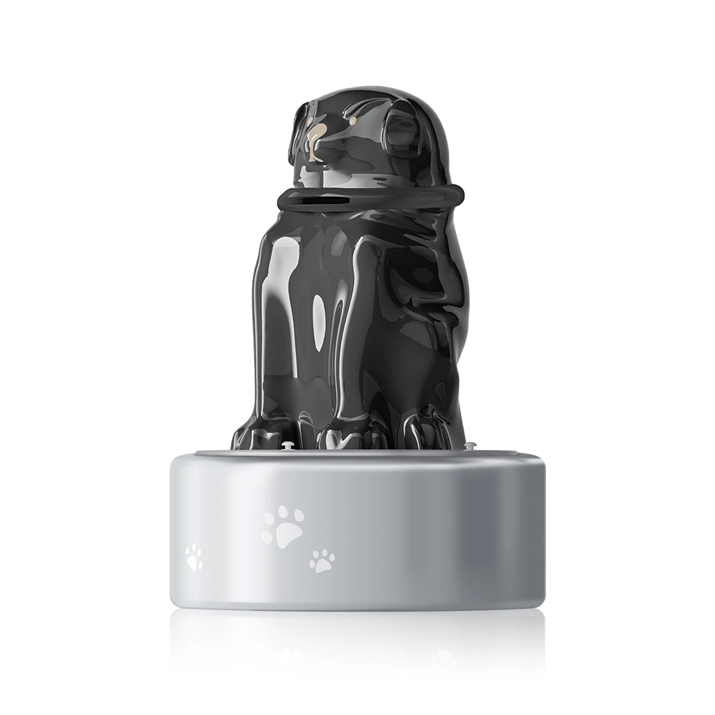 Memorial Keepsake Large Capacity Pet Urn for Ashes