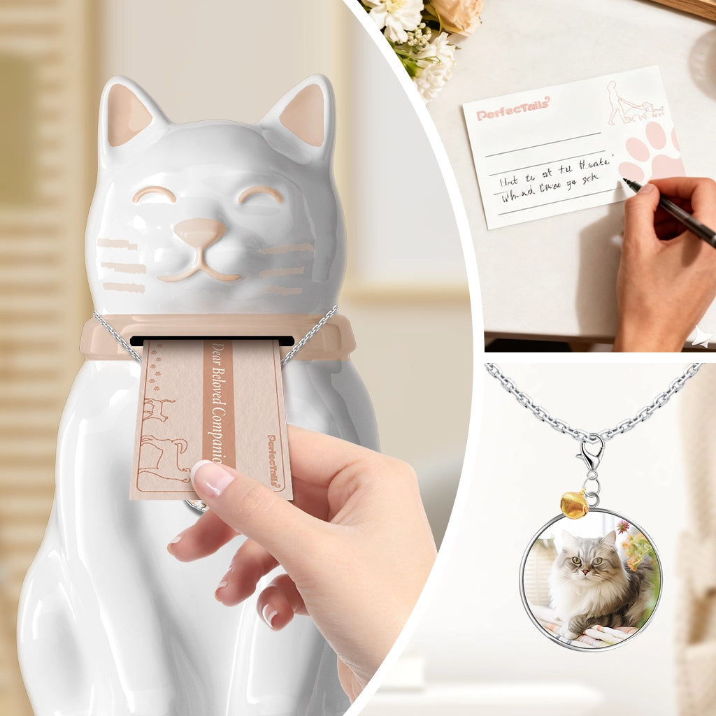 The Heart's Mailbox Pet Urn | Keep Your Connection Alive with Letters.