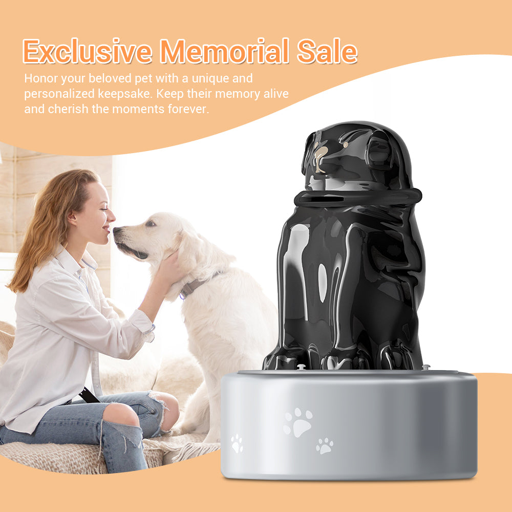 The Heart's Mailbox Pet Urn | Keep Your Connection Alive with Letters.