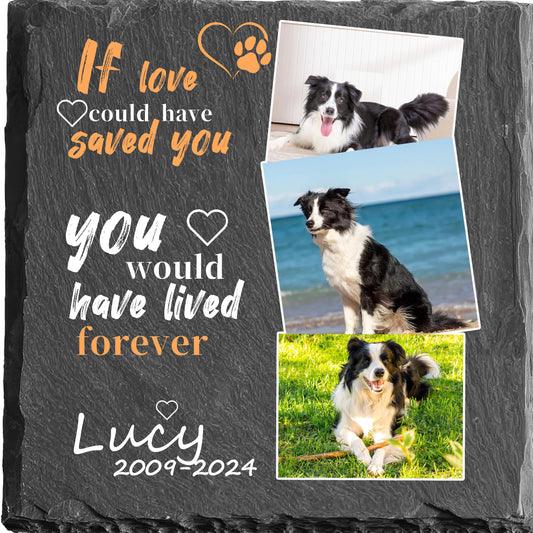 Perfectails Pet Memorial Plaques ( Multi-Photo & Paw Heart) | If Love Could Have Saved You Pet Sympathy Gift