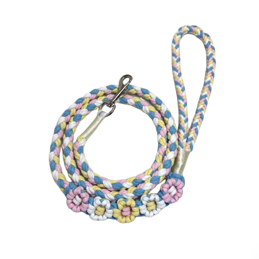 Blue & Pink | 5-Flower Handwoven Decorative Dog Leash