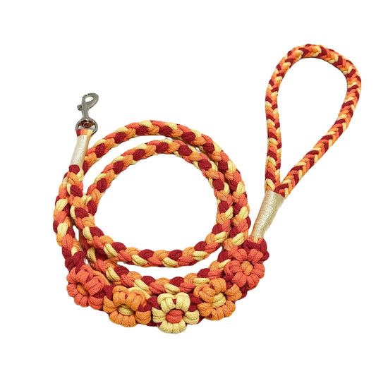 Orange & Yellow | 5-Flower Handwoven Decorative Dog Leash