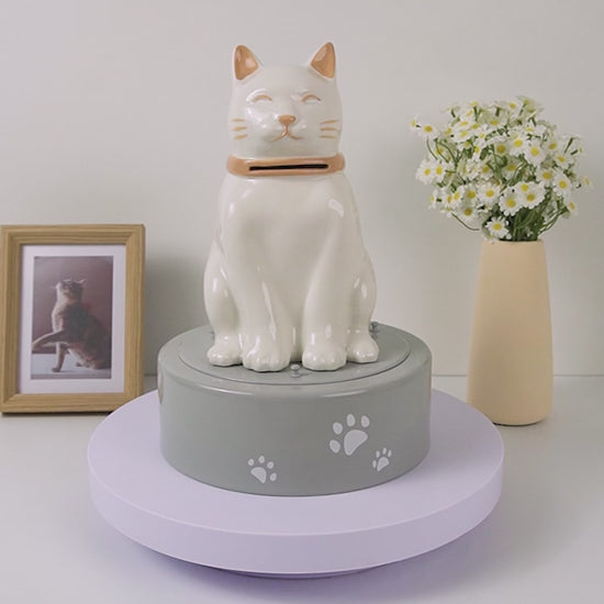 white cat urn video