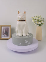 white cat urn video