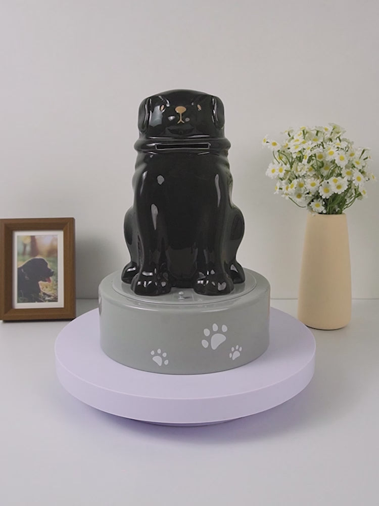 Large Capacity Dog Urn with Message Slot for Ashes