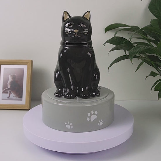 black cat urn video