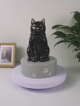 black cat urn video