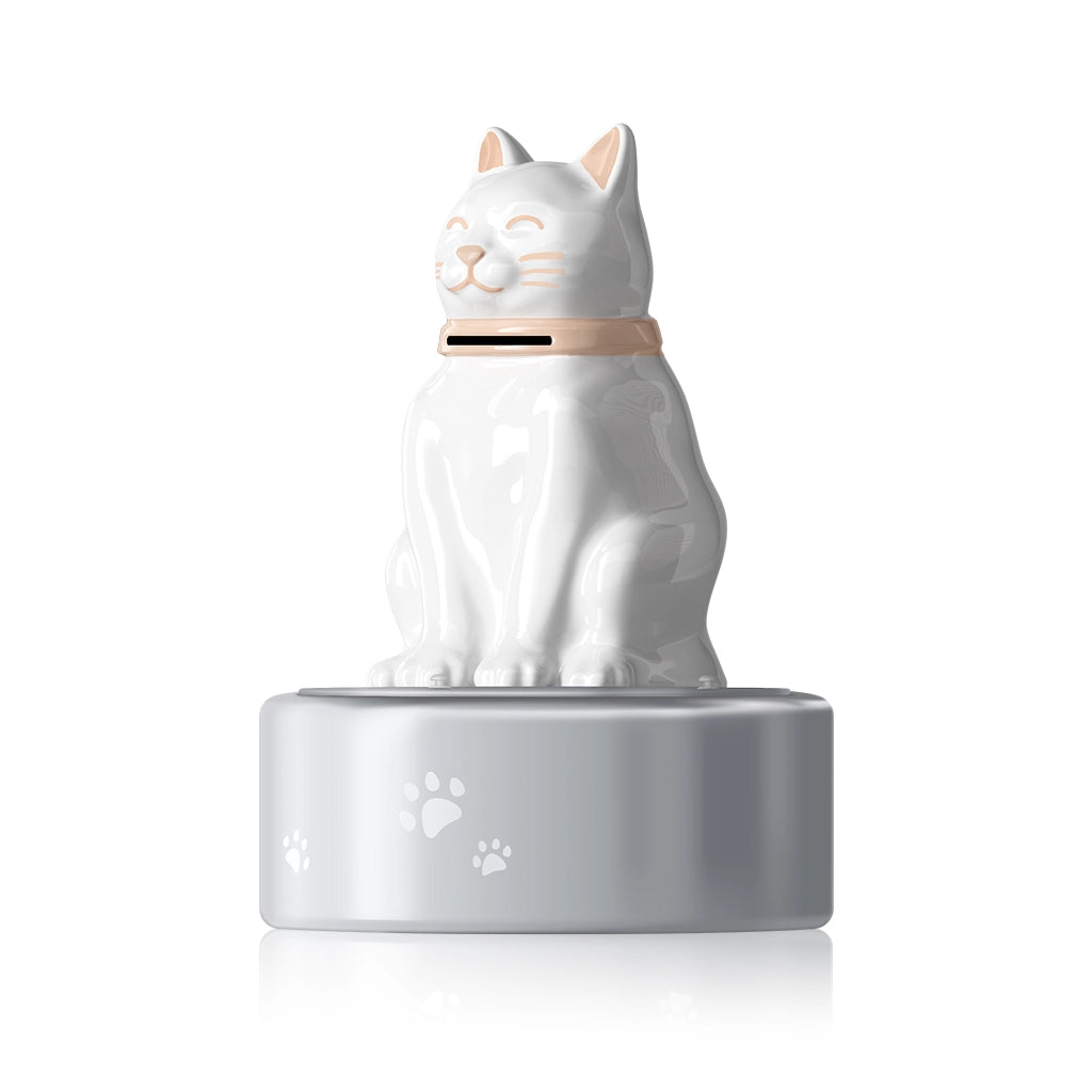 white cat side angle