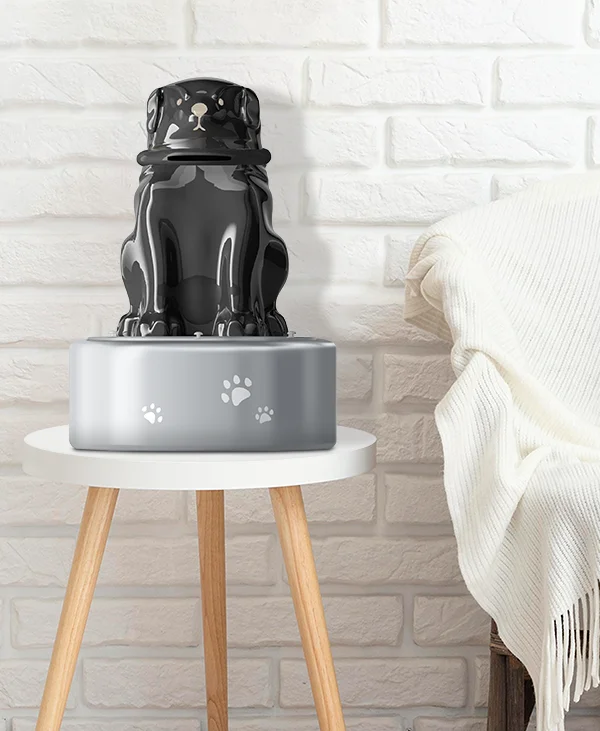 Dog Cremation Urn | Keepsake Box with Letter Slot & Steel Container